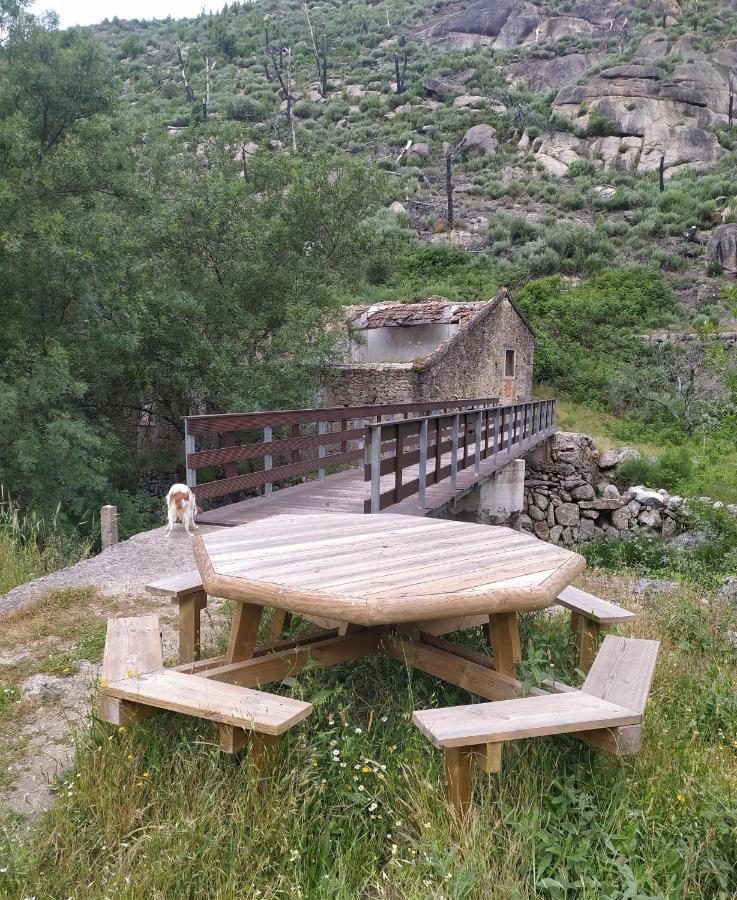 Abrigo Do Cabecinho - Serra Da Estrela Cortes do Meio Eksteriør billede