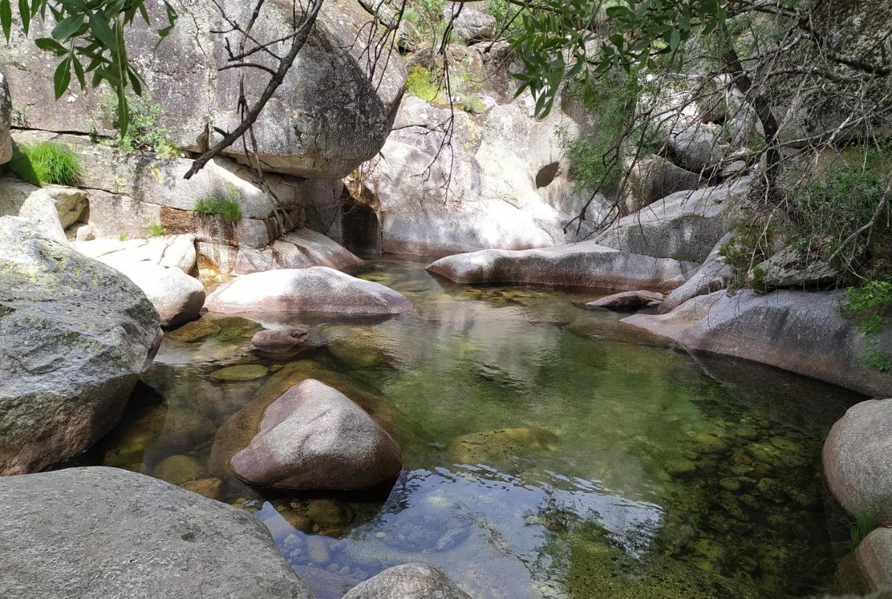 Abrigo Do Cabecinho - Serra Da Estrela Cortes do Meio Eksteriør billede